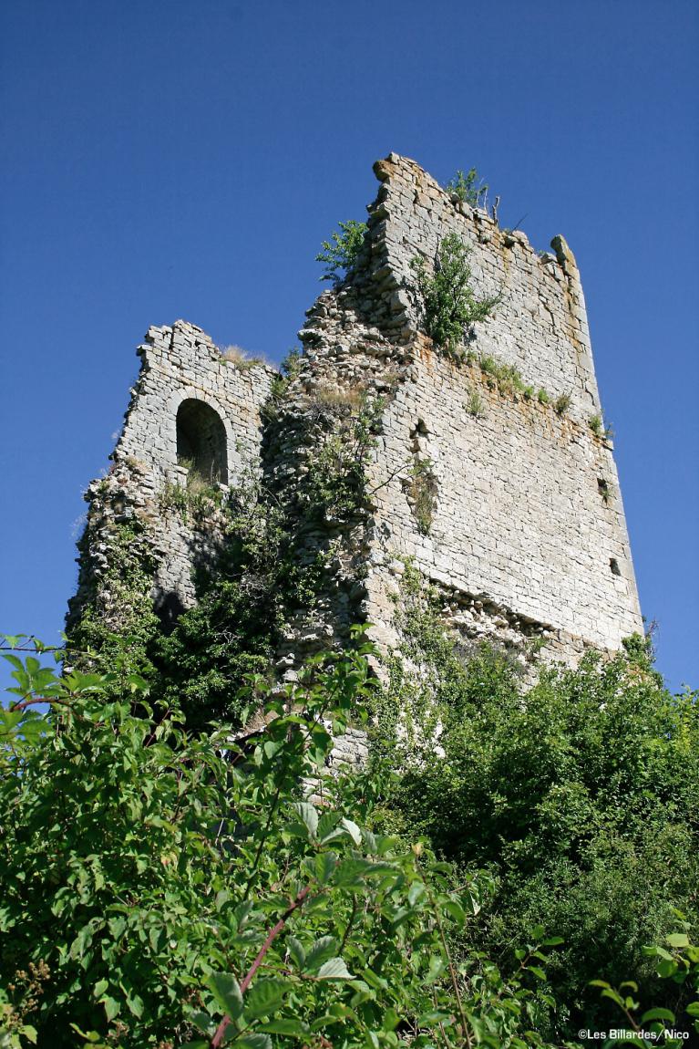 Ruine de la tour de Dramelay