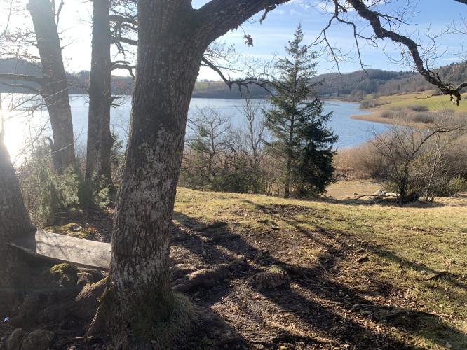 Banc original avec point de vue sur le lac