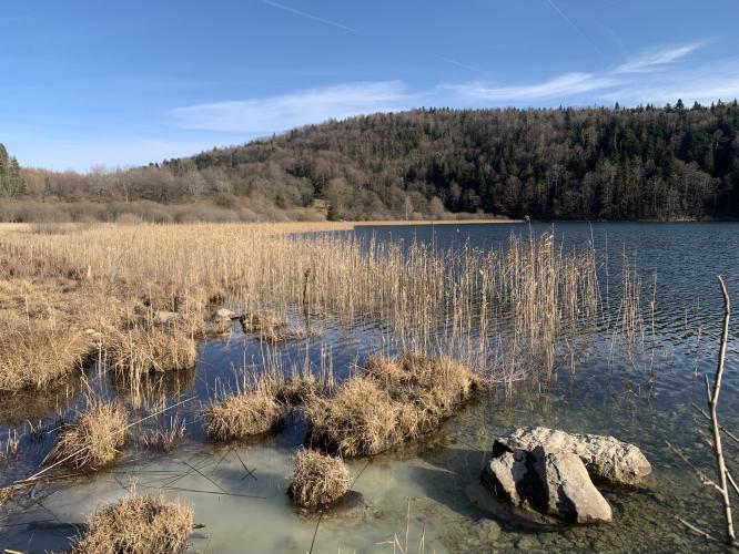 Lac de Narlay