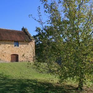 Gizia- l'ancien pressoir