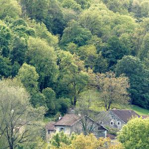 Vieilles maisons du village