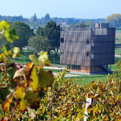 La Caborde vue depuis les vignes
