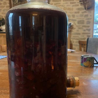 Prunelles en macération